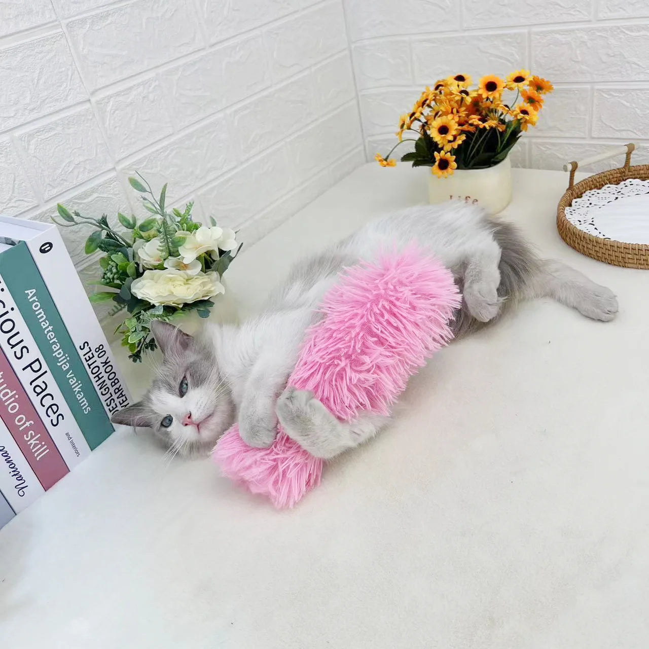 Plush Cat Chew Toy Catnip Self-hi Bite Toys Strip Pillow Teaser Toys for Cats Soft Interactive Cat Plaything Katten Speelgoed